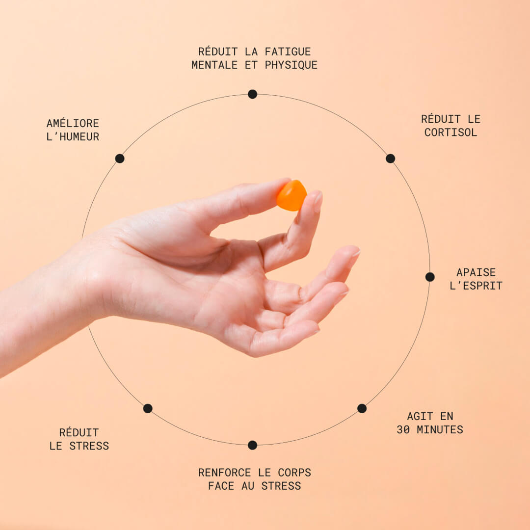 Gommes Anti-Stress au Safran - Kit d'essai