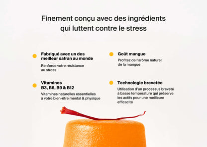 Gummies Anti-Stress au safran x3