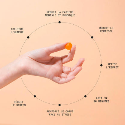 Gommes Anti-Stress au Safran - Kit d'essai